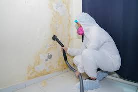 Best Environmental Consulting for Mold Prevention  in Fort Riley, KS